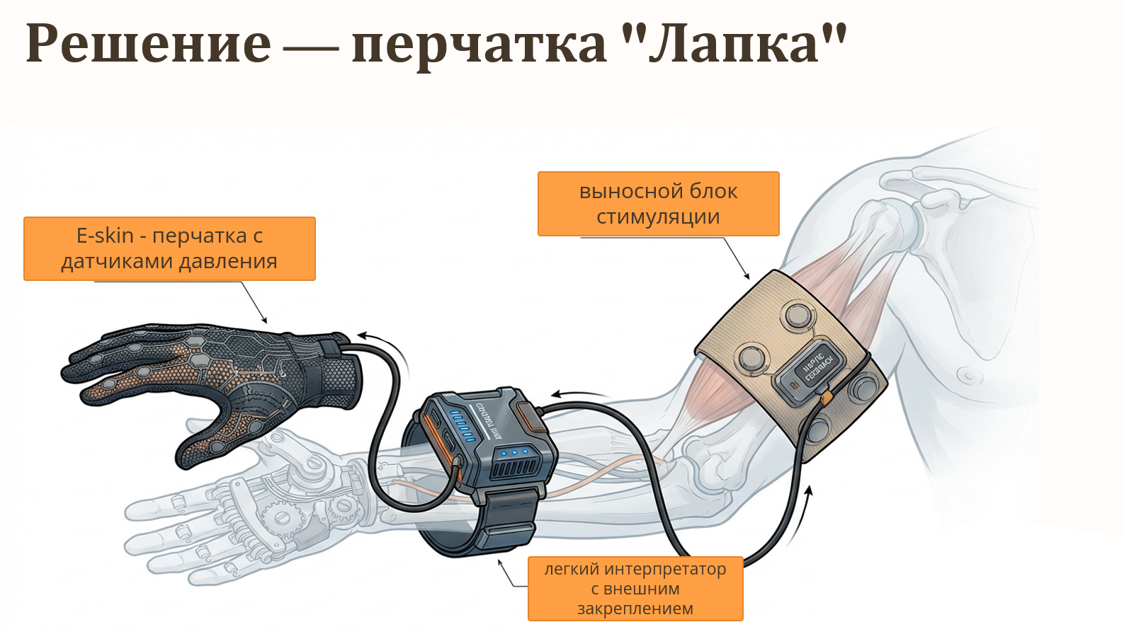 Схема работы перчатки Лапка